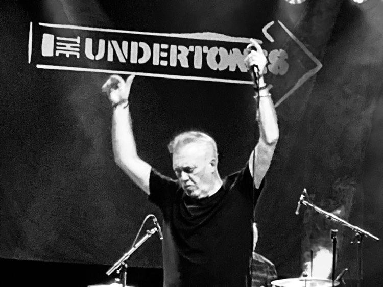 THE UNDERTONES (c) DIDIER BECU