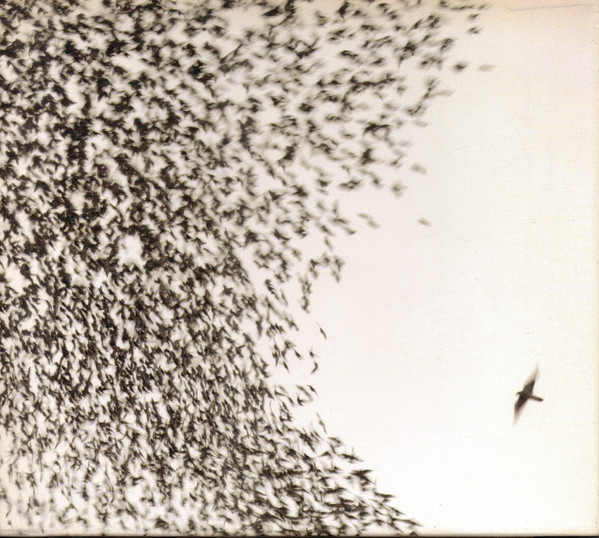 WILCO - SKY BLUE SKY (2007, Nonesuch) © Discogs