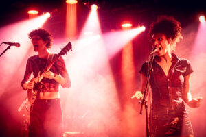 Lézard © Björn Comhaire