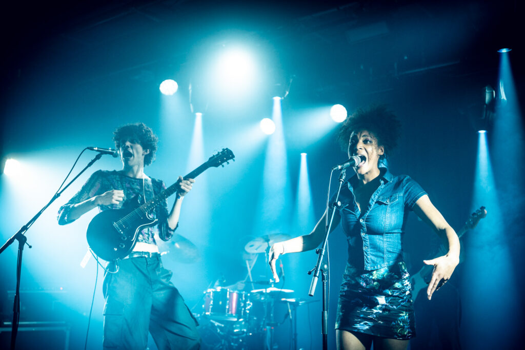 Lézard © Björn Comhaire