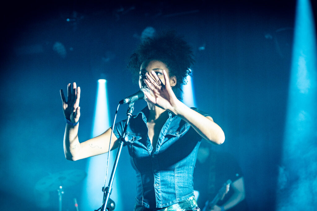 Lézard © Björn Comhaire