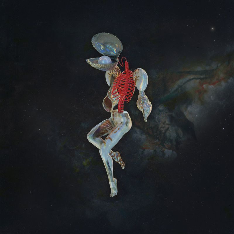 HAIL SPIRIT NOIR – Fossil Gardens (Agonia, 2024)