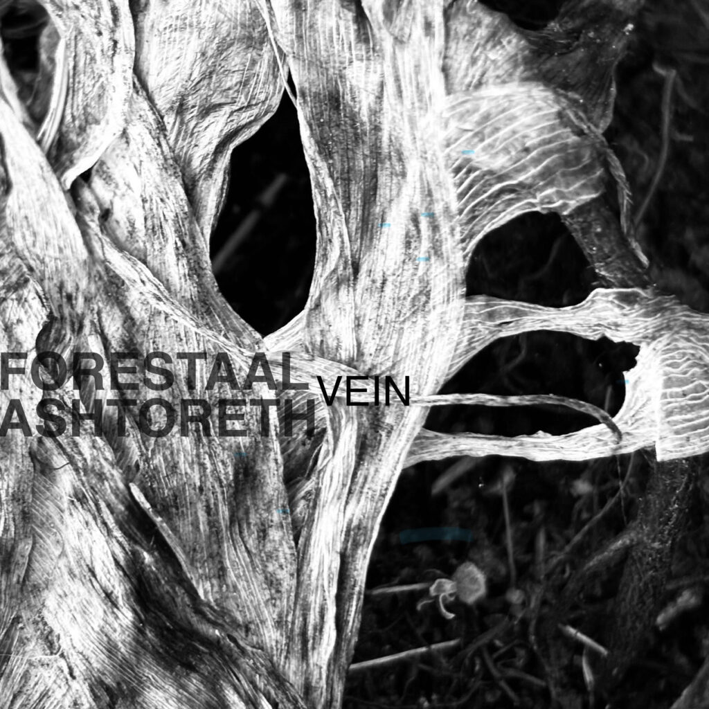 ASHTORETH & FORESTAAL