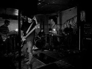 MØNJARD © MØNJARD