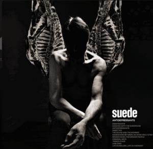 SUEDE © SUEDE