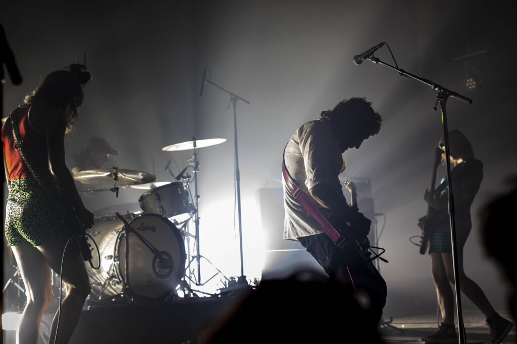 TROPICAL FUCK STORM © Kris Van Den Bossche