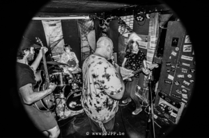 KOTSKAT © Jeroen Jacobs