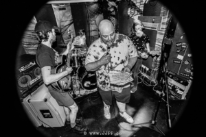 KOTSKAT © Jeroen Jacobs