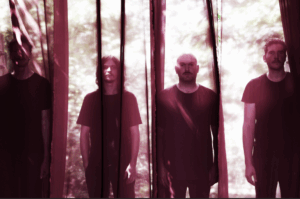 VAGEVUUR © VAGEVUUR