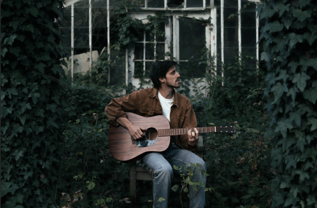 FIG TREES © FIG TREES