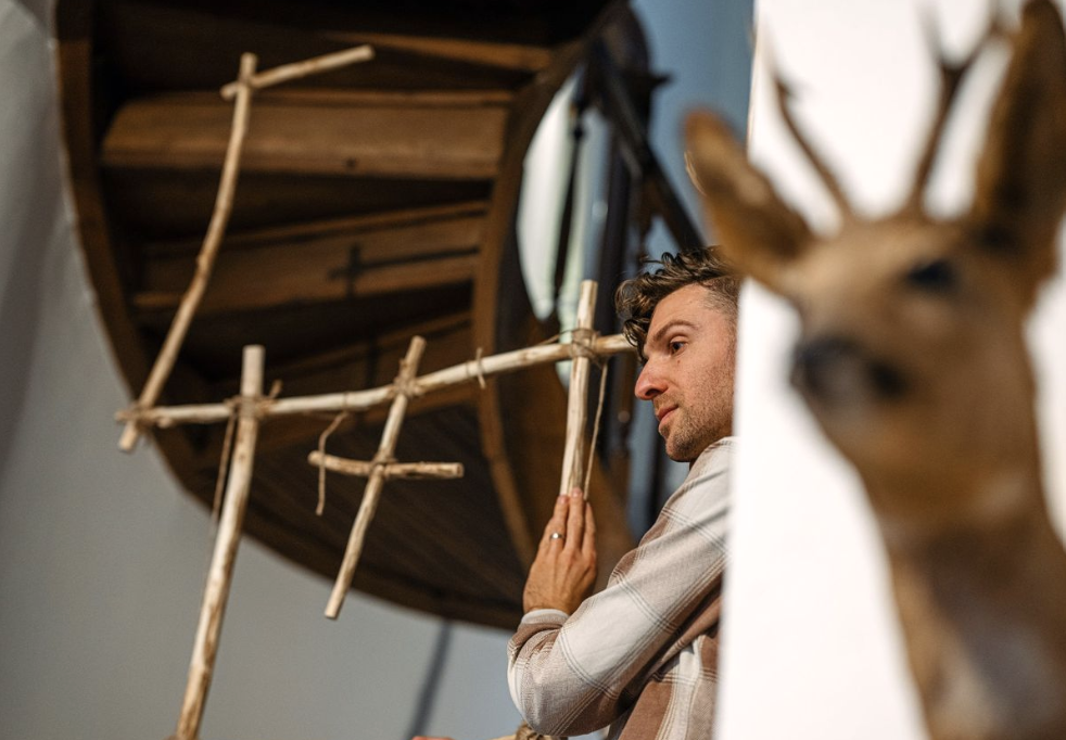 Hertenhout © Tim Liebaert