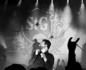 WHOLES © Anthony Vancoillie