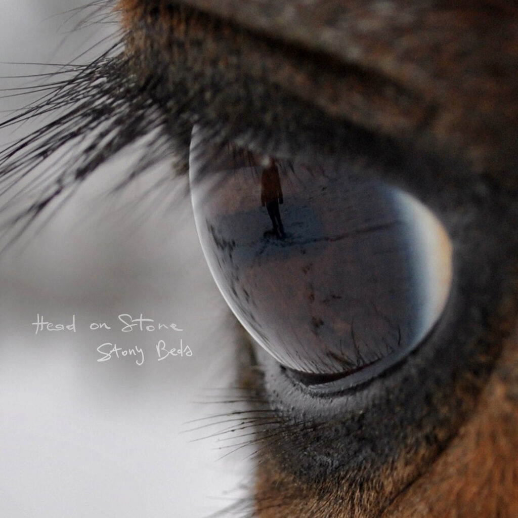 HEAD ON STONE © Syl