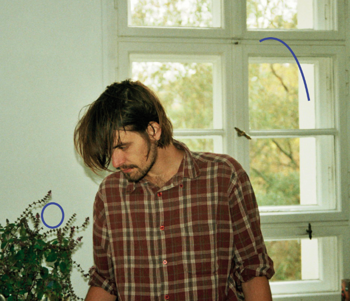 SAVING NICO © Judith Herman