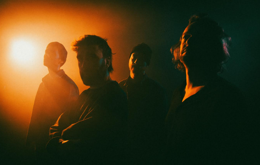 KING HAY ©Yannick Van den Bergh