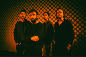 KING HAY ©Yannick Van den Bergh