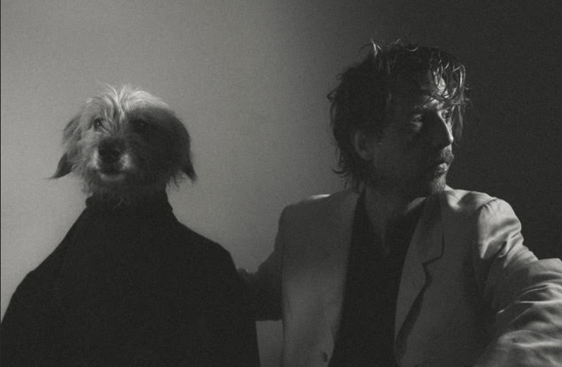 SHY DOG © Femke Appeltans