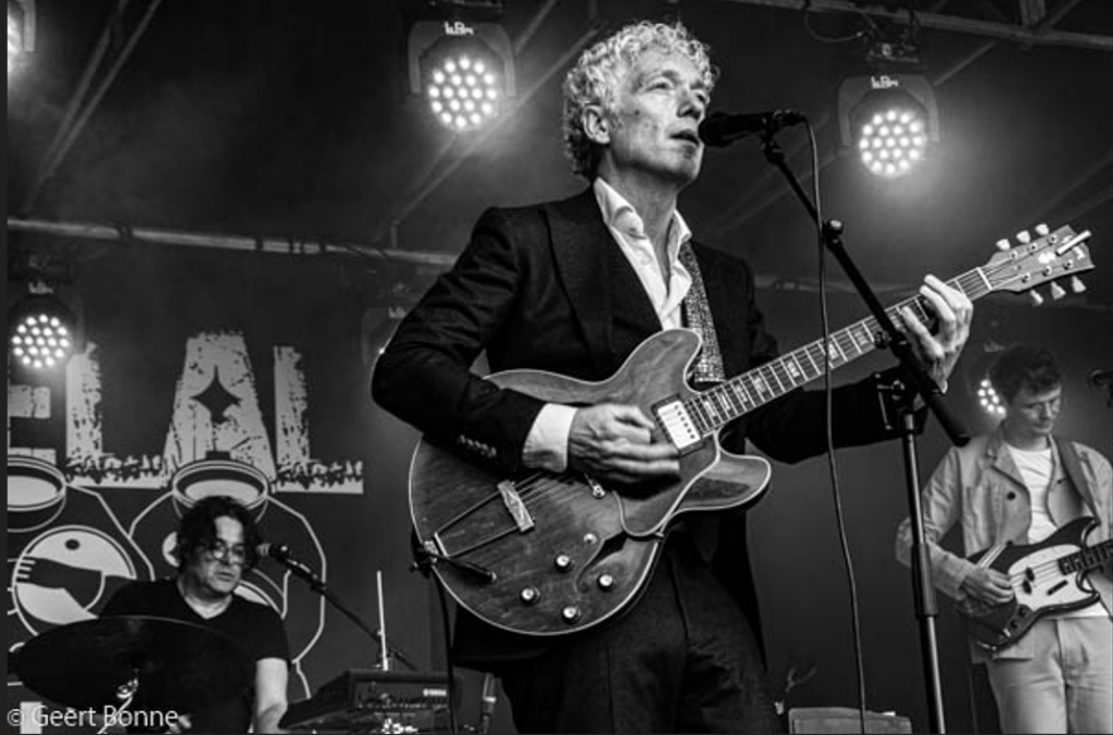 SPINVIS © Geert Bonne