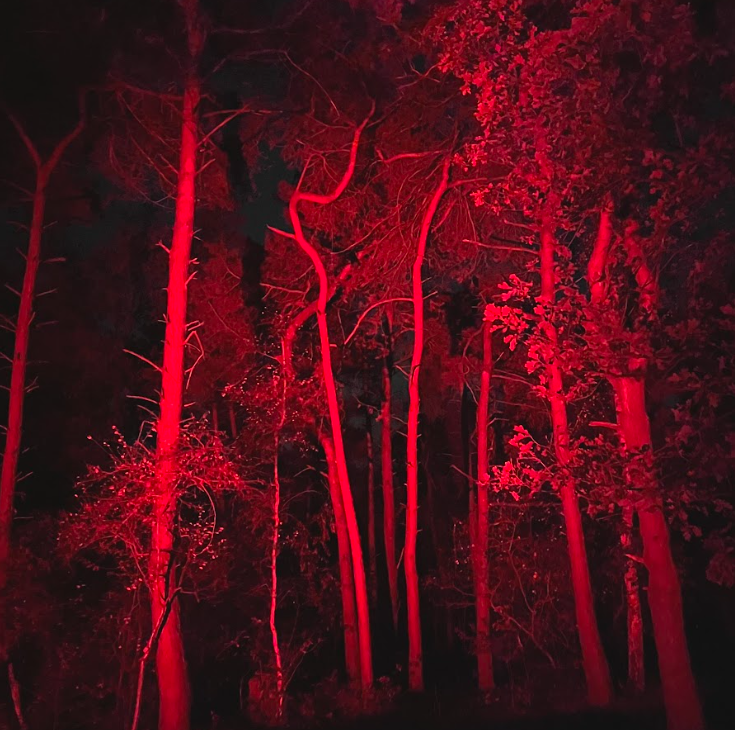 UPSIDE DOWN © Upside Down