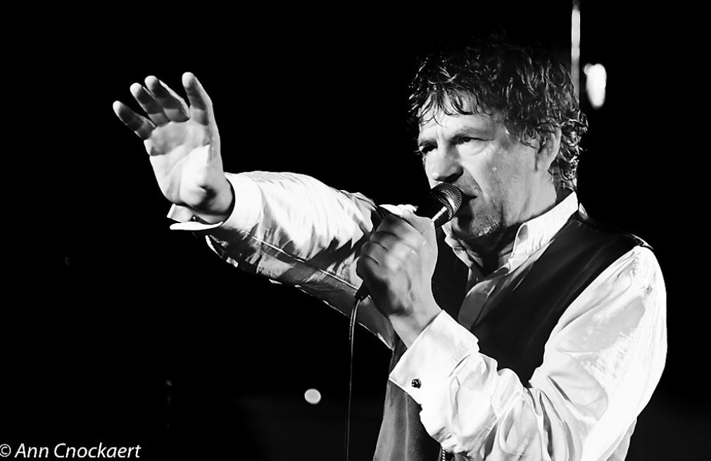 AND ALSO THE TREES © Ann Cnockaert