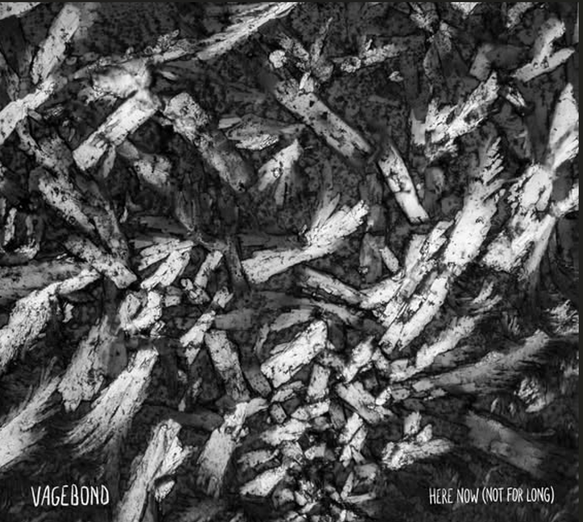 VAGEBOND © VAGEBOND