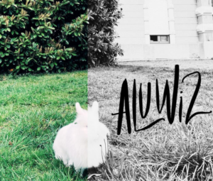 ALUWIZ © ALUWIZ