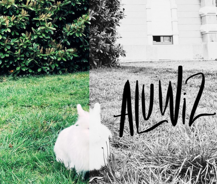 ALUWIZ © ALUWIZ