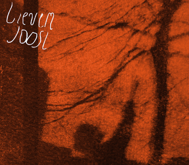 LIEVEN JOOST © Lieven Joost